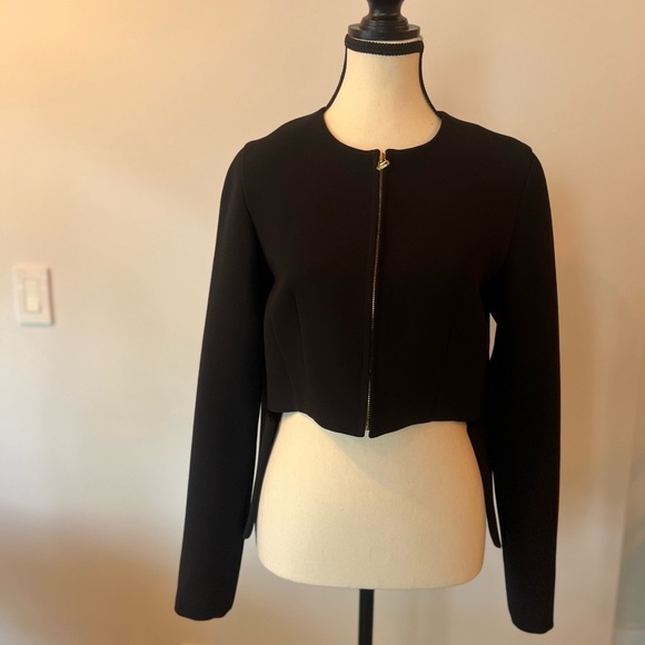 Derek Lam 10 Crosby Asymmetrical Blazer - Picture 4 of 12